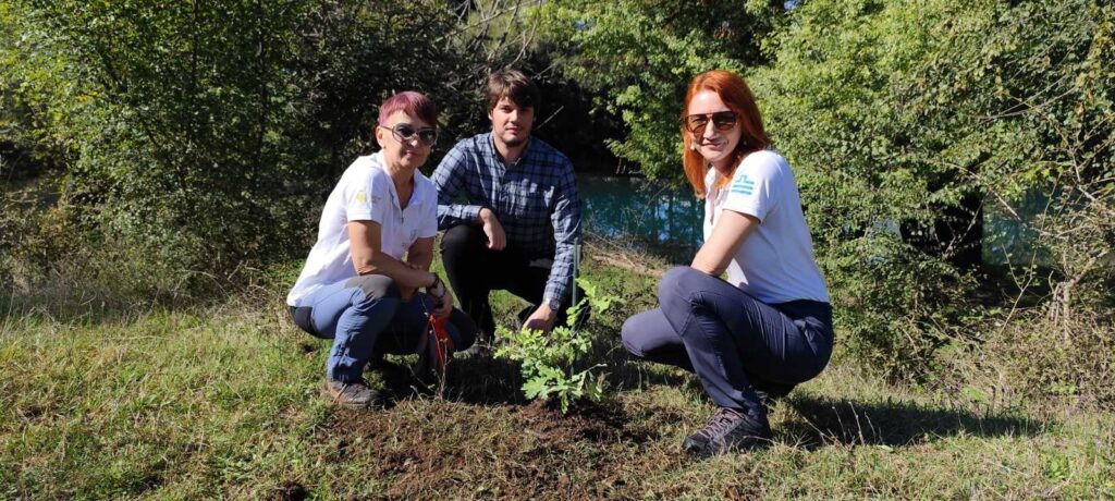 Sadnja Skadarskog Hrasta u Parku Prirode „Rijeka Zeta“